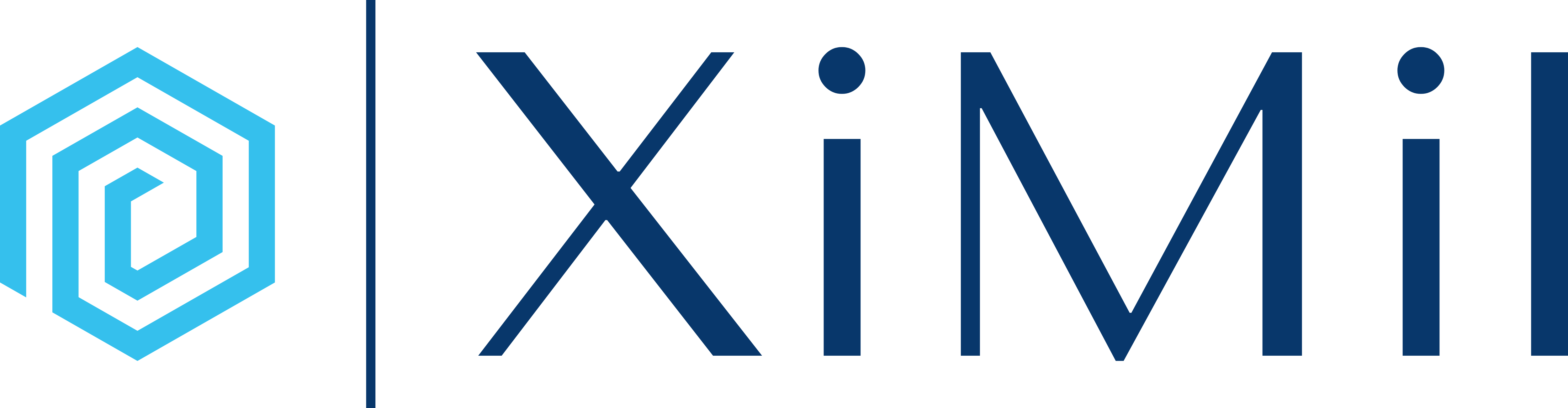 XiMil - AI Safety Consulting